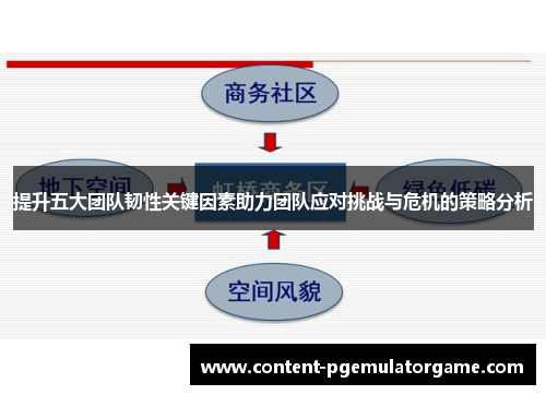 提升五大团队韧性关键因素助力团队应对挑战与危机的策略分析