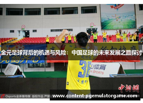 金元足球背后的机遇与风险：中国足球的未来发展之路探讨