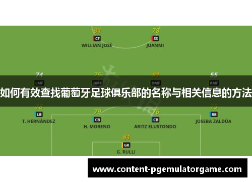 如何有效查找葡萄牙足球俱乐部的名称与相关信息的方法